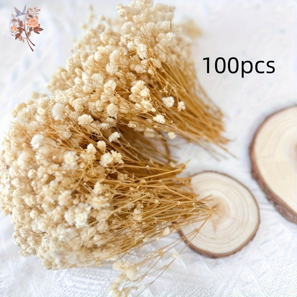 100pcs Mini Dried Baby's Breat - Embellish Craft ulasan dan harga
