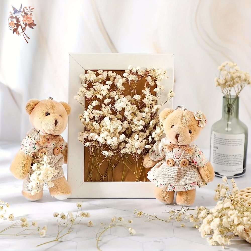 100pcs Mini Dried Baby's Breat - Embellish Craft ulasan dan harga