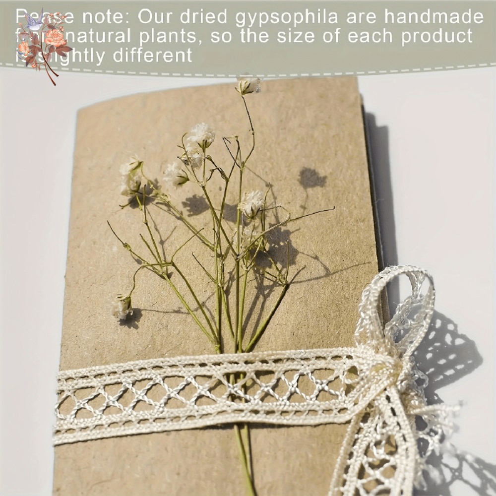 100pcs Mini Dried Baby's Breat - Embellish Craft ulasan dan harga